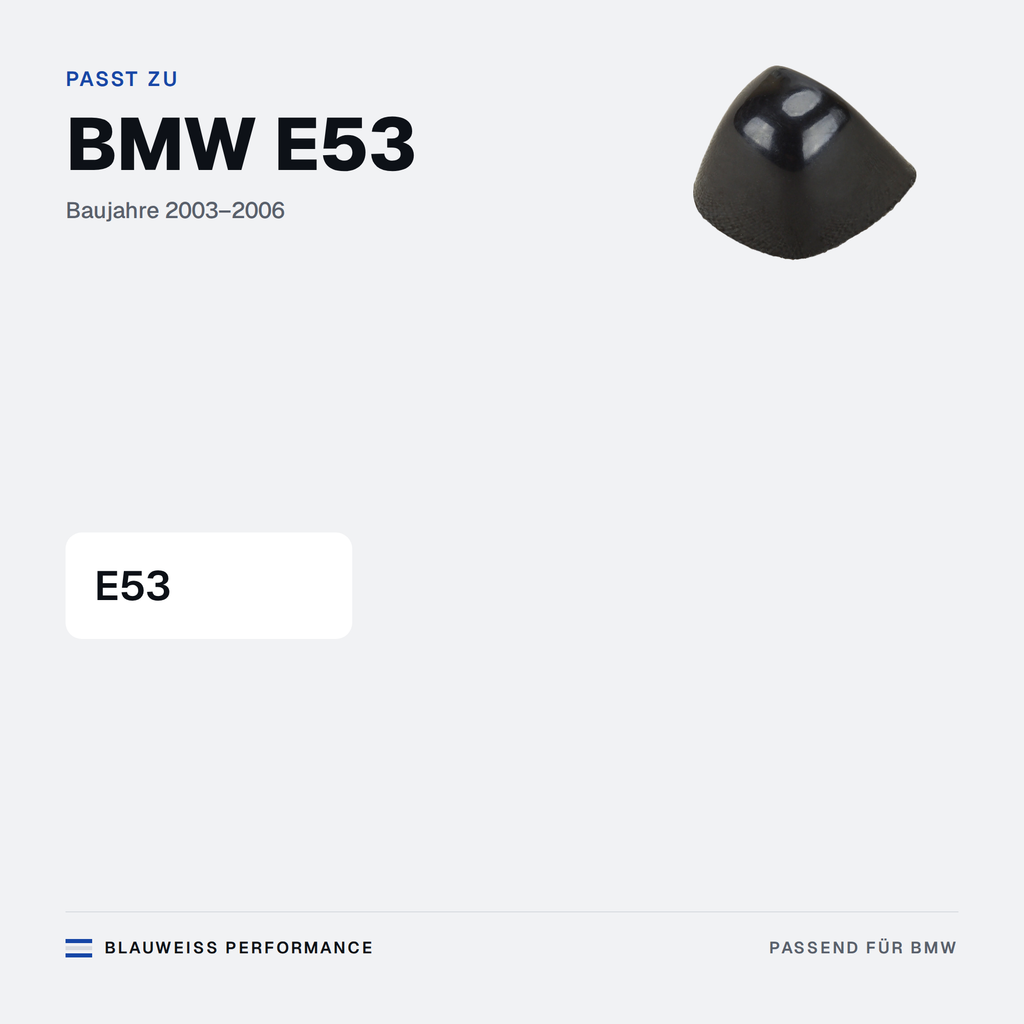 Scheinwerferwaschanlage Düsenkappe passend für BMW E53 E53 – Passt zu